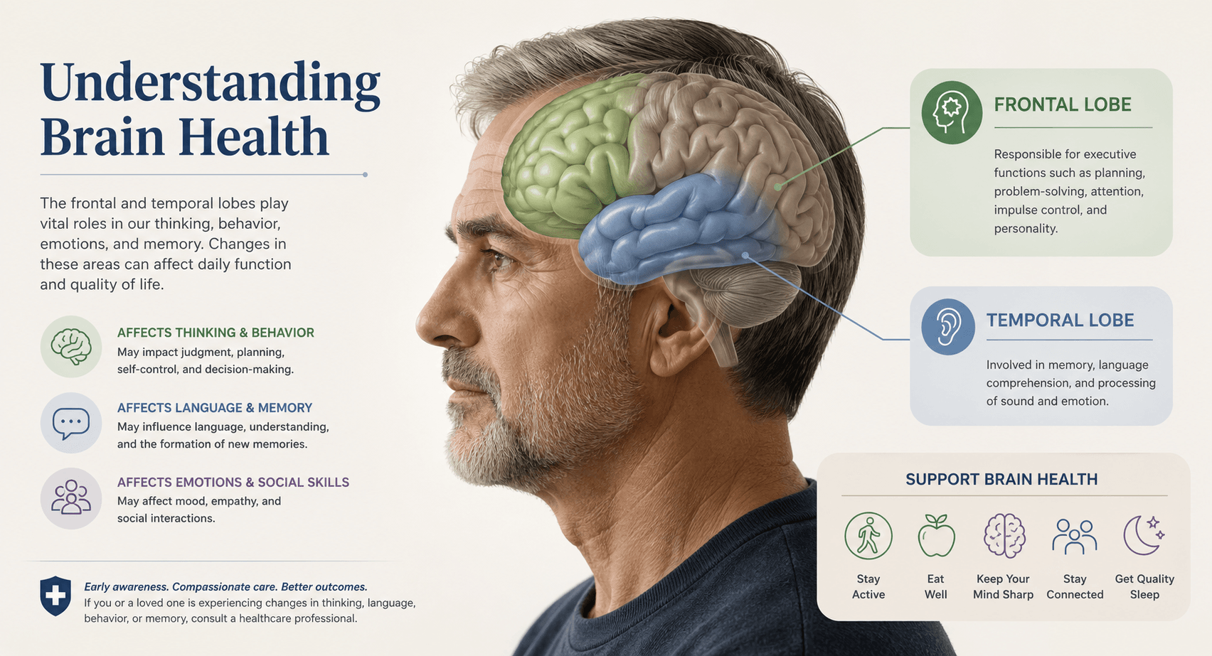 Frontotemporal dementia brain illustration related to Bruce Willis condition